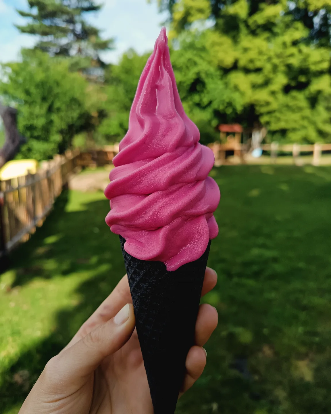 Ice Cream